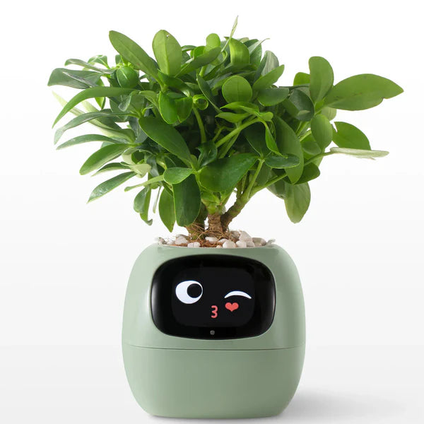 Life by Home™ Plantagotchi