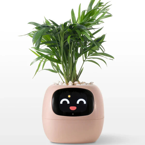 Life by Home™ Plantagotchi