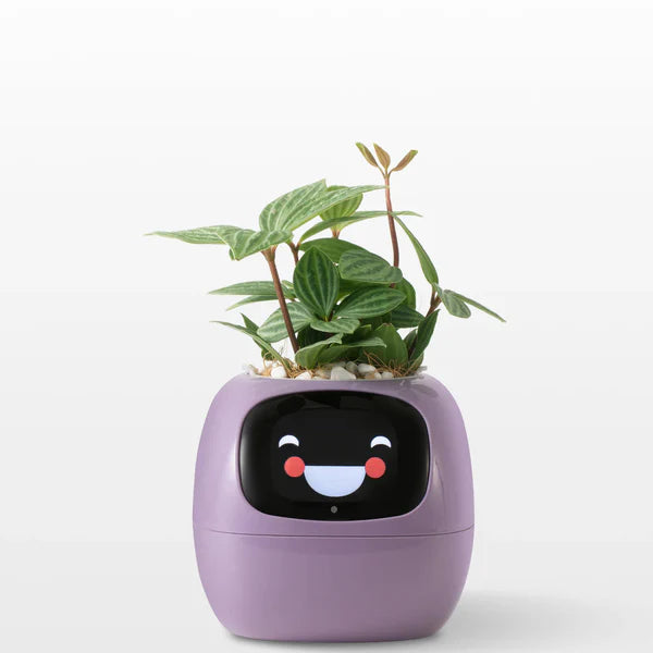 Life by Home™ Plantagotchi