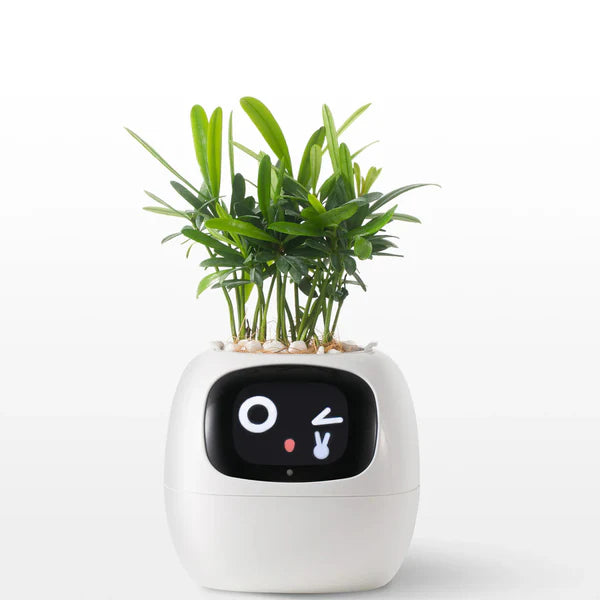 Life by Home™ Plantagotchi