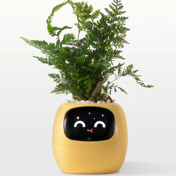 Life by Home™ Plantagotchi