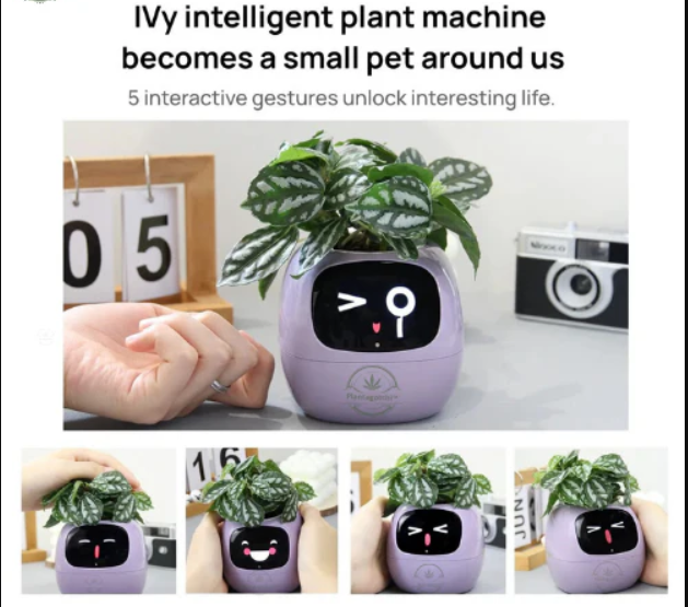 Life by Home™ Plantagotchi