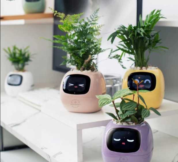 Life by Home™ Plantagotchi