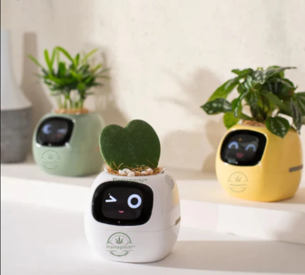Life by Home™ Plantagotchi