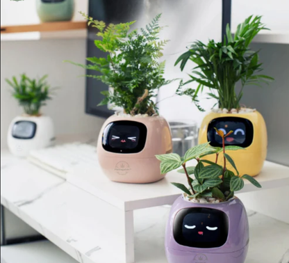 Life by Home™ Plantagotchi
